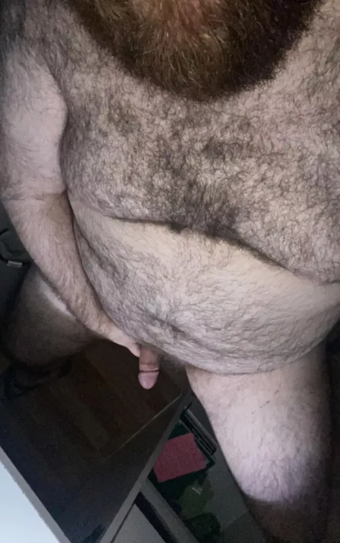 y'all bears always make me rock hard posted by sspacebear
