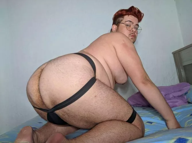 (24) do u want my ass? by gordosafadosp