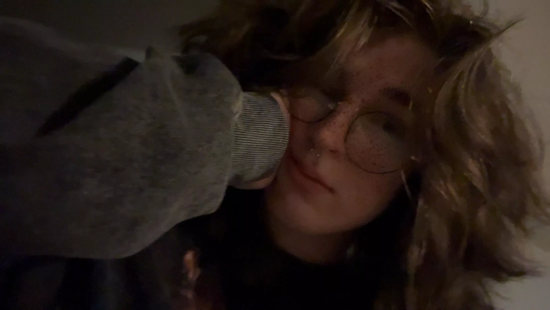 bleh :3 say hi please :3 posted by gaylildogboy