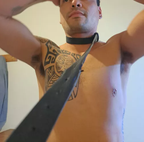 Do you like my hairy armpits? by yourboy1311