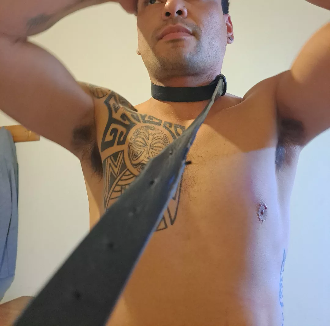 Do you like my hairy armpits? posted by yourboy1311