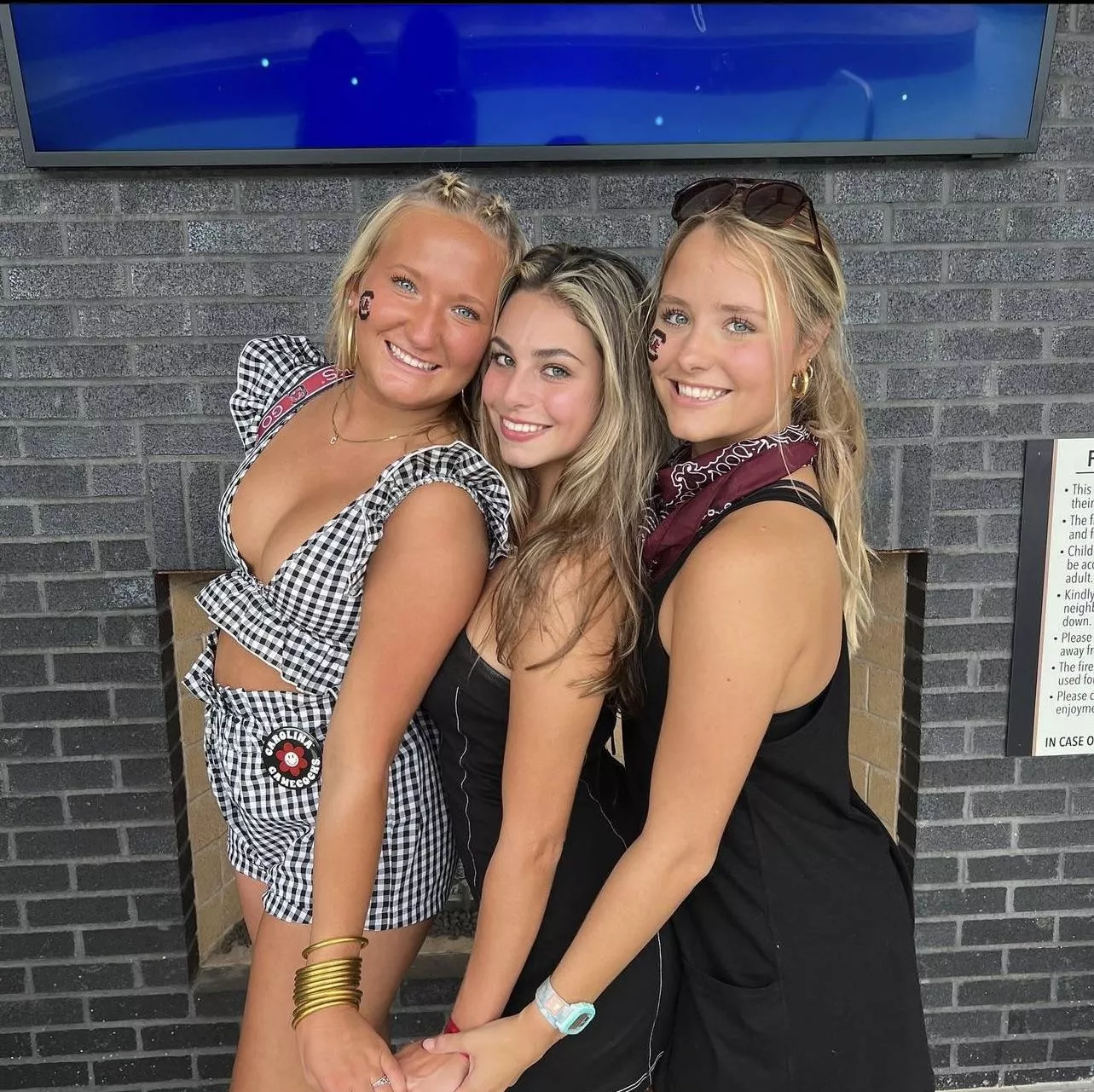 Gamecock’s posted by Celladwellas