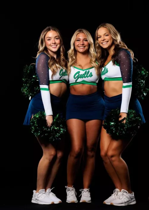 Gulls by Big-Mycologist-1019