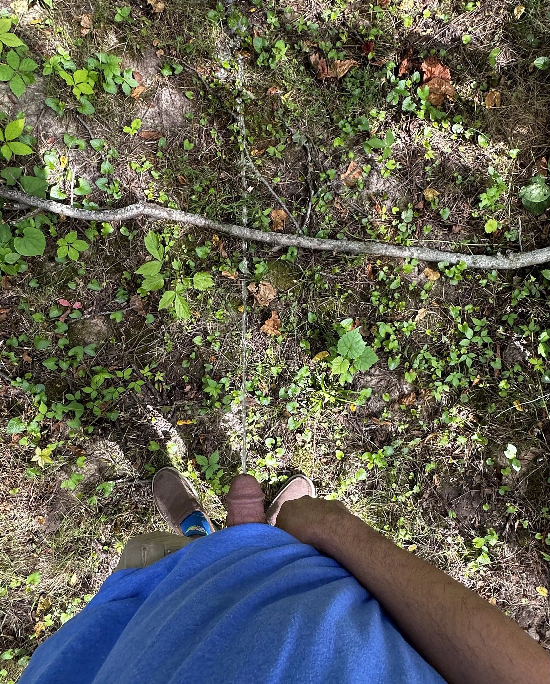 Had to go! Bathrooms too far… posted by aruban1