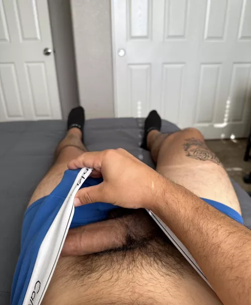 Have you ever showed your pubes to your bro? (30) by Quirky_Angle9119
