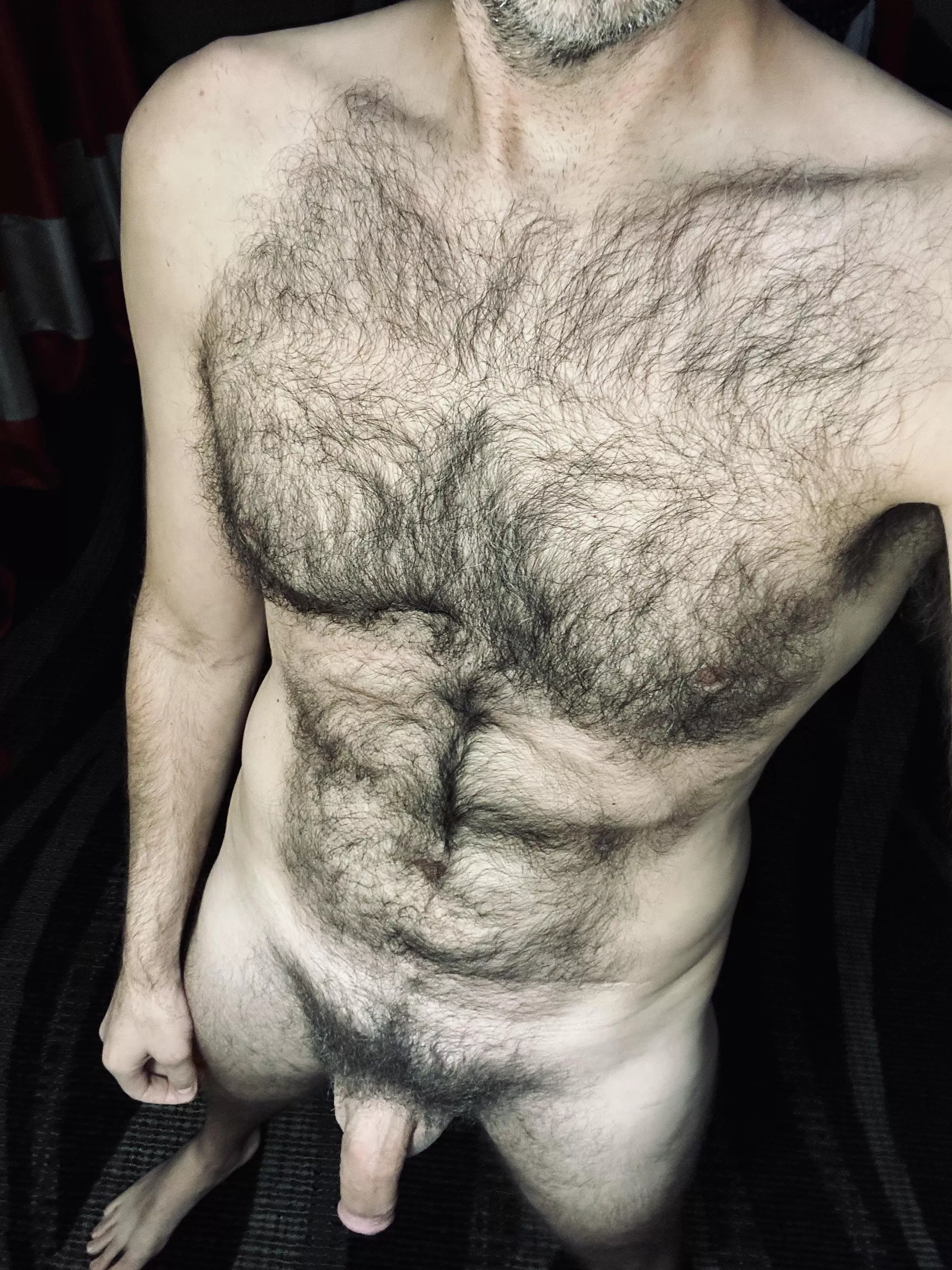 Just hairy ol' me and my hairy ol' dick... posted by jerseyjaxoff