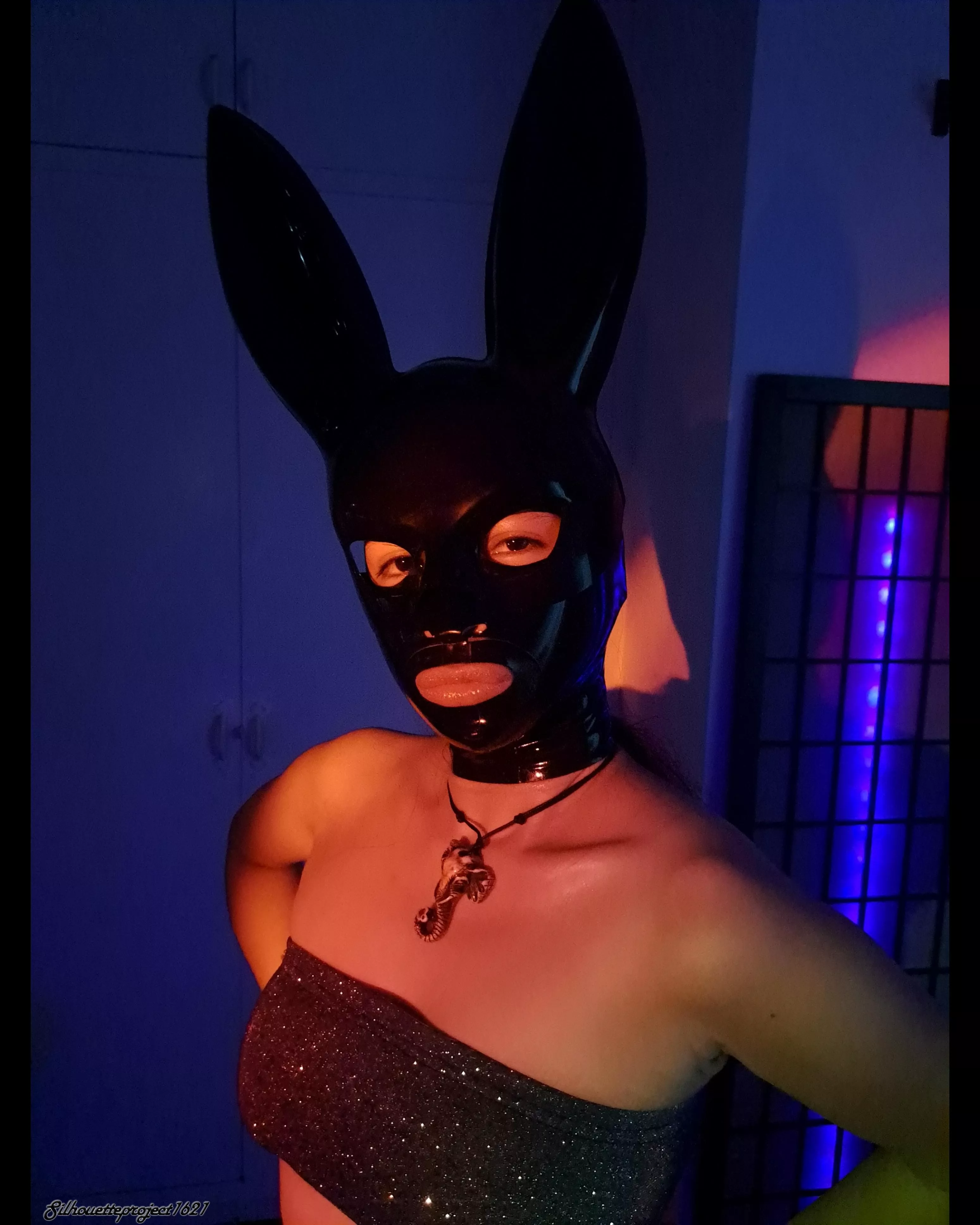 Like my new bunny mask? 🖤 posted by Silhouette_Project