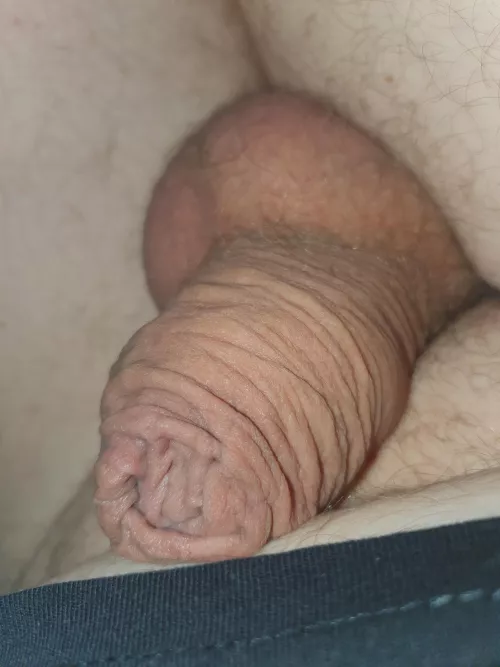 Looks so small. by ppoiu6