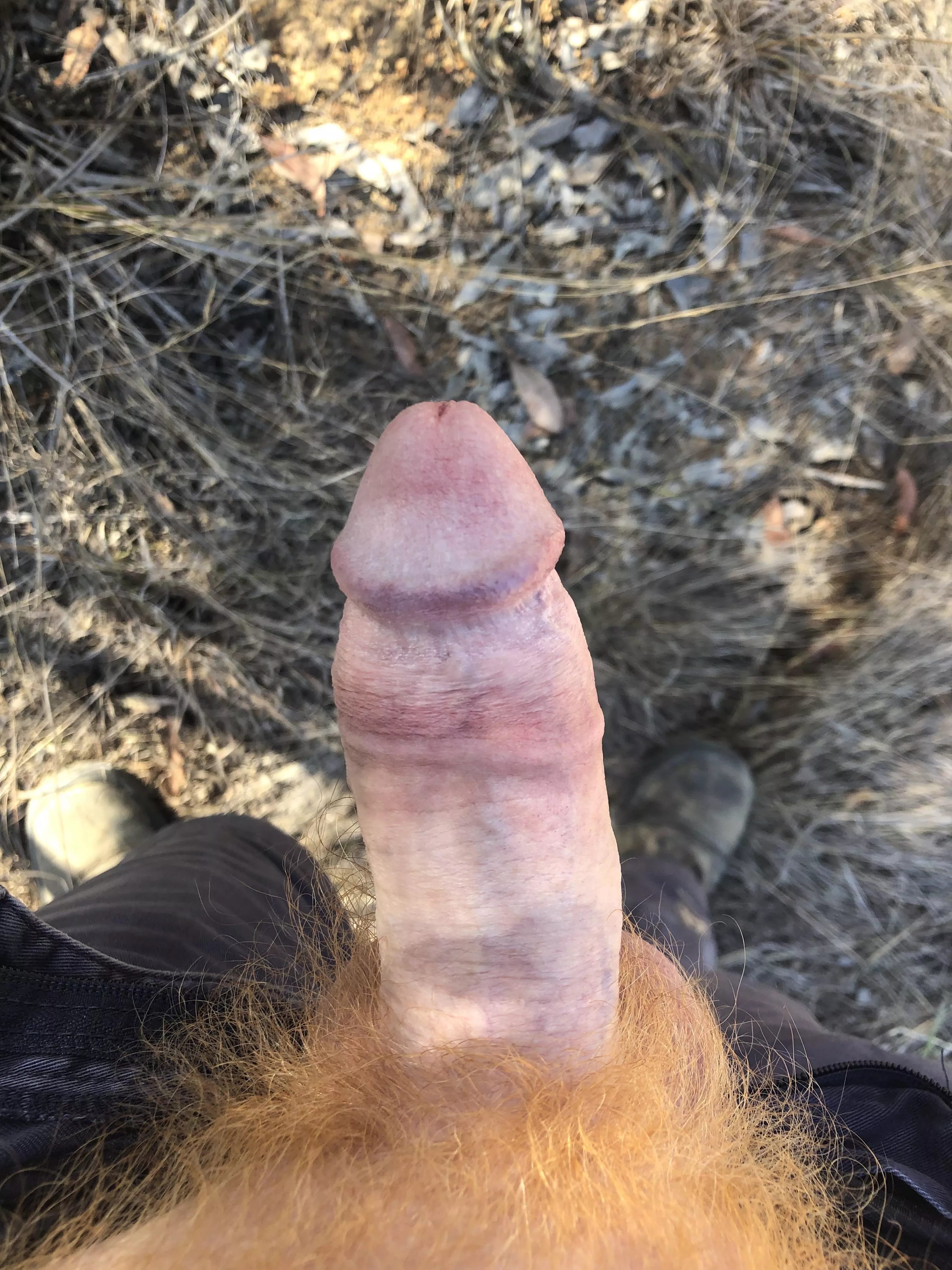 Love the afternoon breeze posted by Charlie368