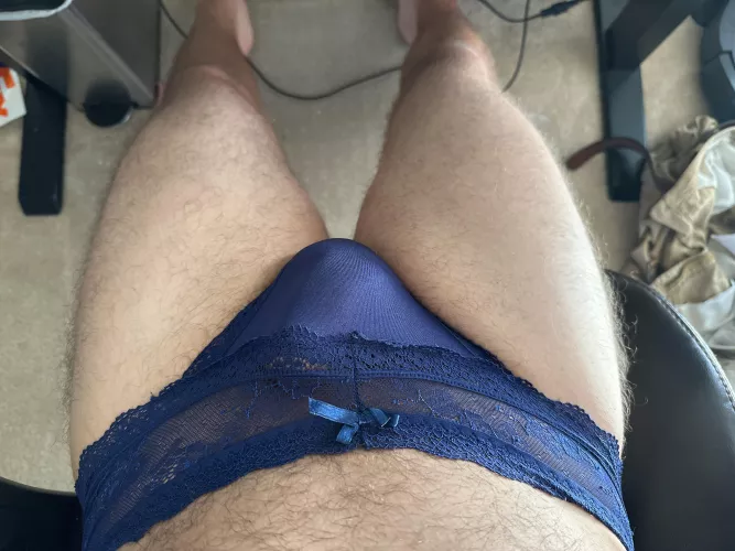 Love wearing my wife's panties when she's gone by pantylvr99