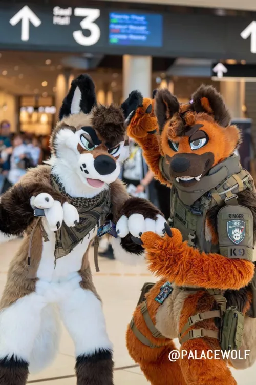 They on the hunt for cuties, and they spotted one 😏 by PalaceWolf