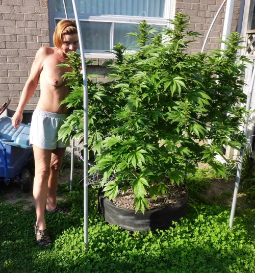 Things are gettin' sticky (F) by NaturallyRed1