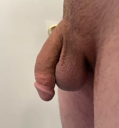 this sub is always so kind to me! thanks for looking :) by Upstairs_Second_5972