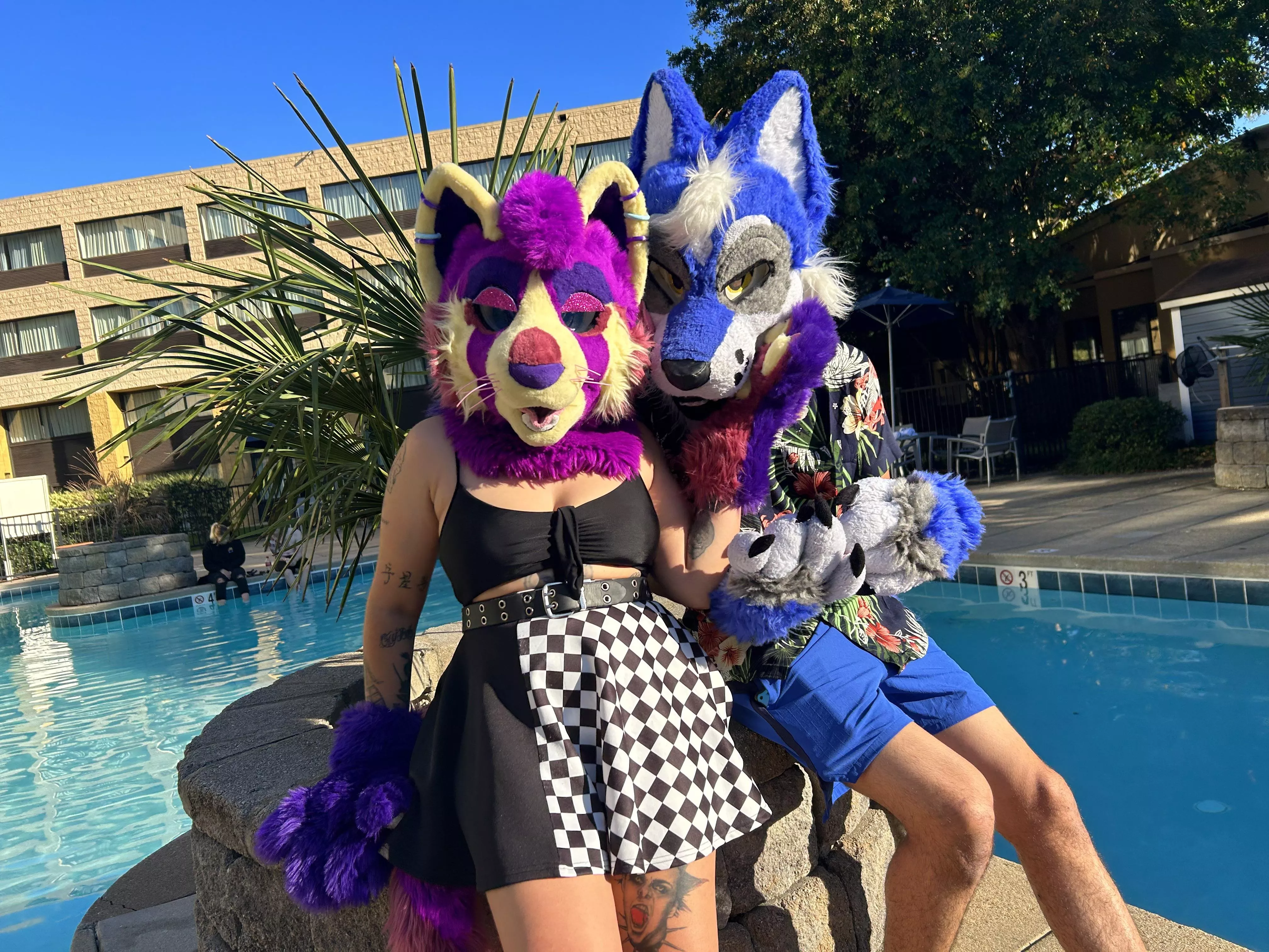 Fursuiting at the pool UwU posted by Professional-Mix1652