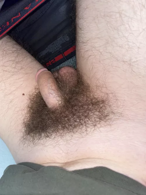 Hairy softie, anyone wanna help get it up? by HeyaGuysHYD