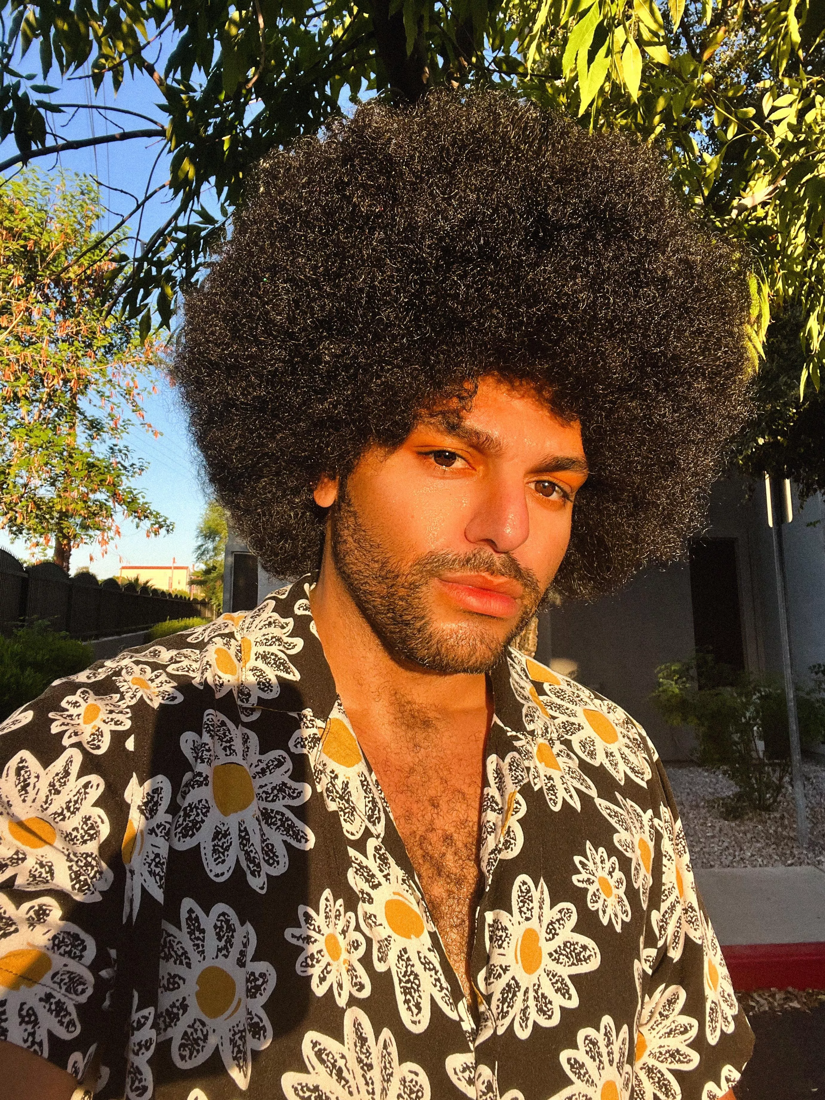 I feel like I should come with a “only looks good in sunlight” disclaimer posted by Duhbigdill