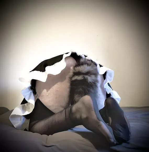 maid cat anyone? posted by ConfidentAsAlways