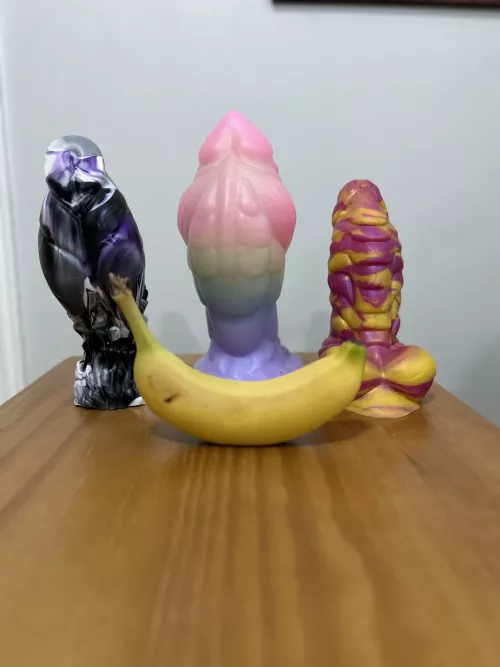 My growing collection 🍌 for scale by dullsatisfaction_