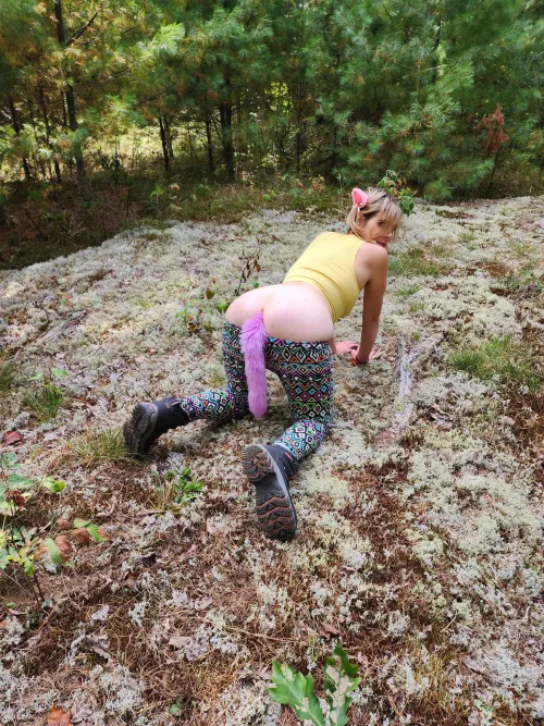 perfect position on all fours by Tinkertoys69