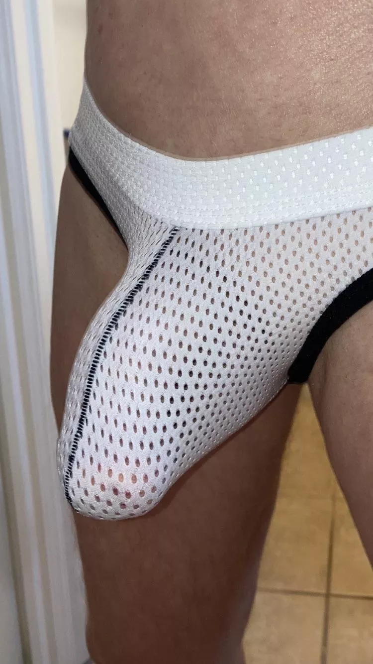Today’s bulge underwear posted by HardOscar2