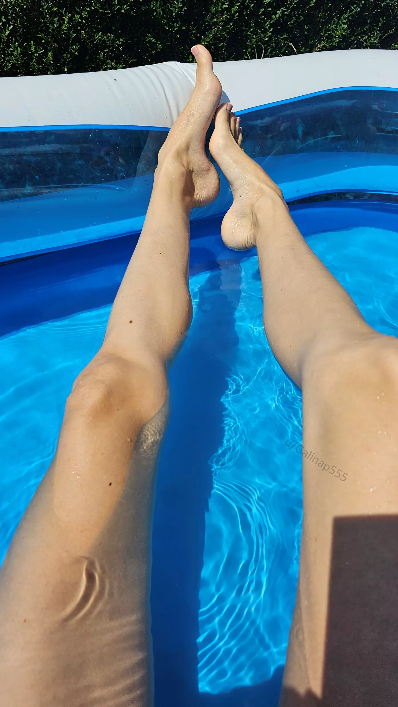 Would you join us in the pool? posted by Galinap555