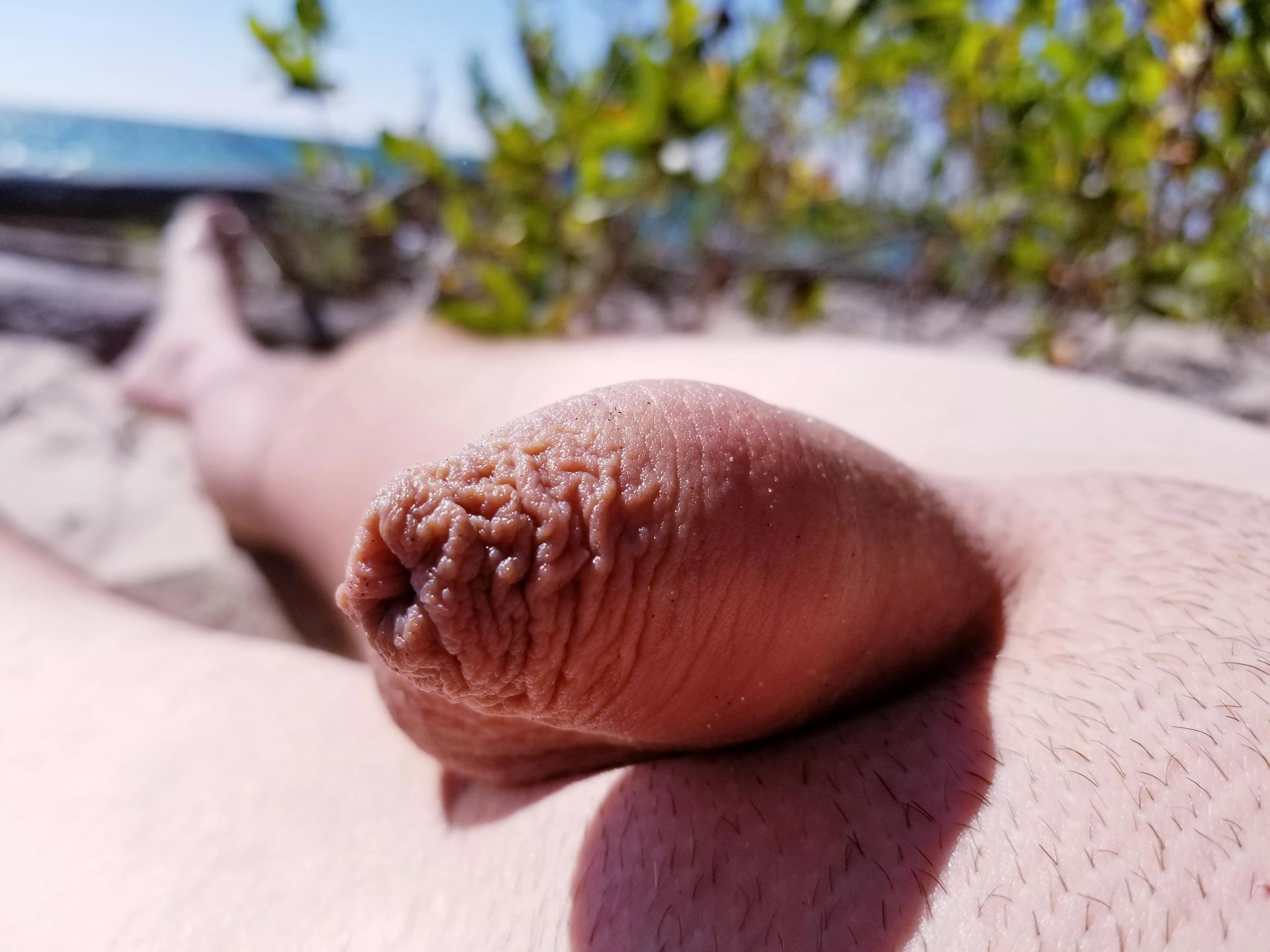 at the beach ☀ posted by Sea-Outside-8838