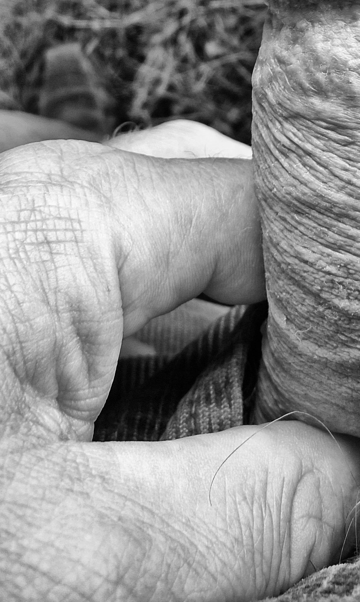 between two fingers posted by TheNudeMike