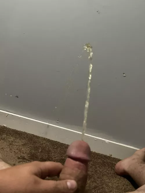 Floor pee by newmaker43