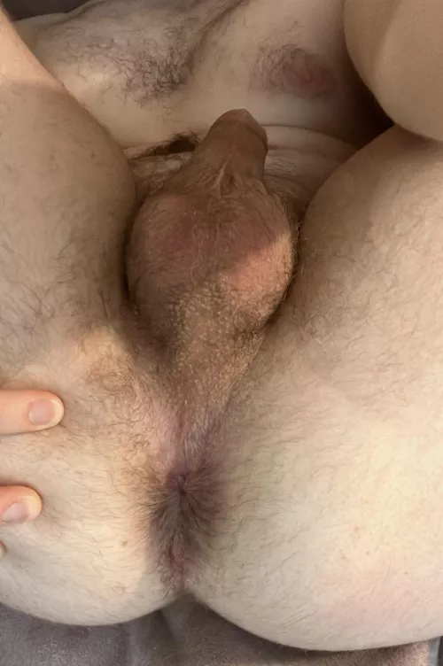 Kind of bored and had a long day at work. So here’s my hairy jock hole by Double_Razzmatazz_40