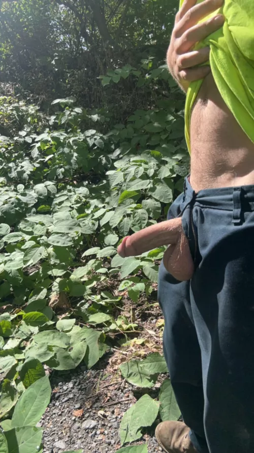 Little nature walk at work by Serious-Share-1311