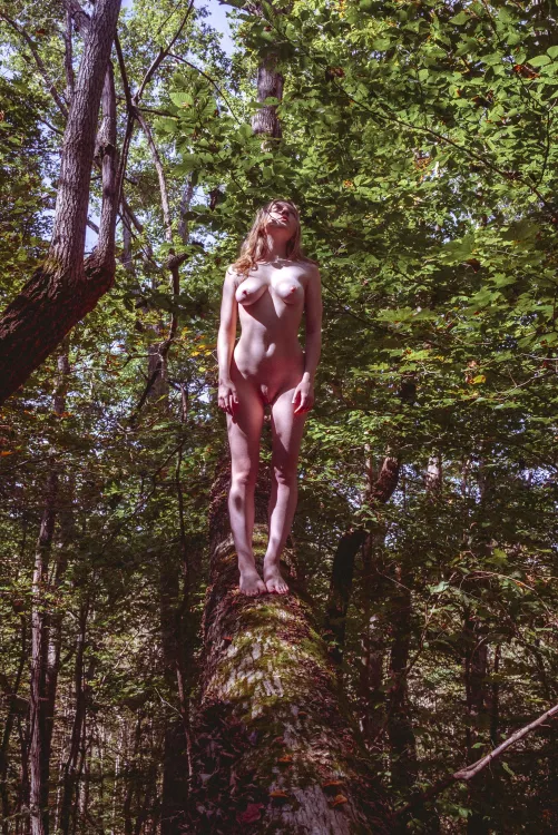 Lost in nature by ohseephotography