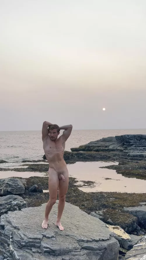 White dot by freeintheforest86