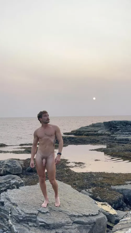 White dot by freeintheforest86