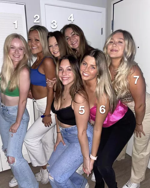 6. Every day of the week and twice on Sundays by BingoDino-dna