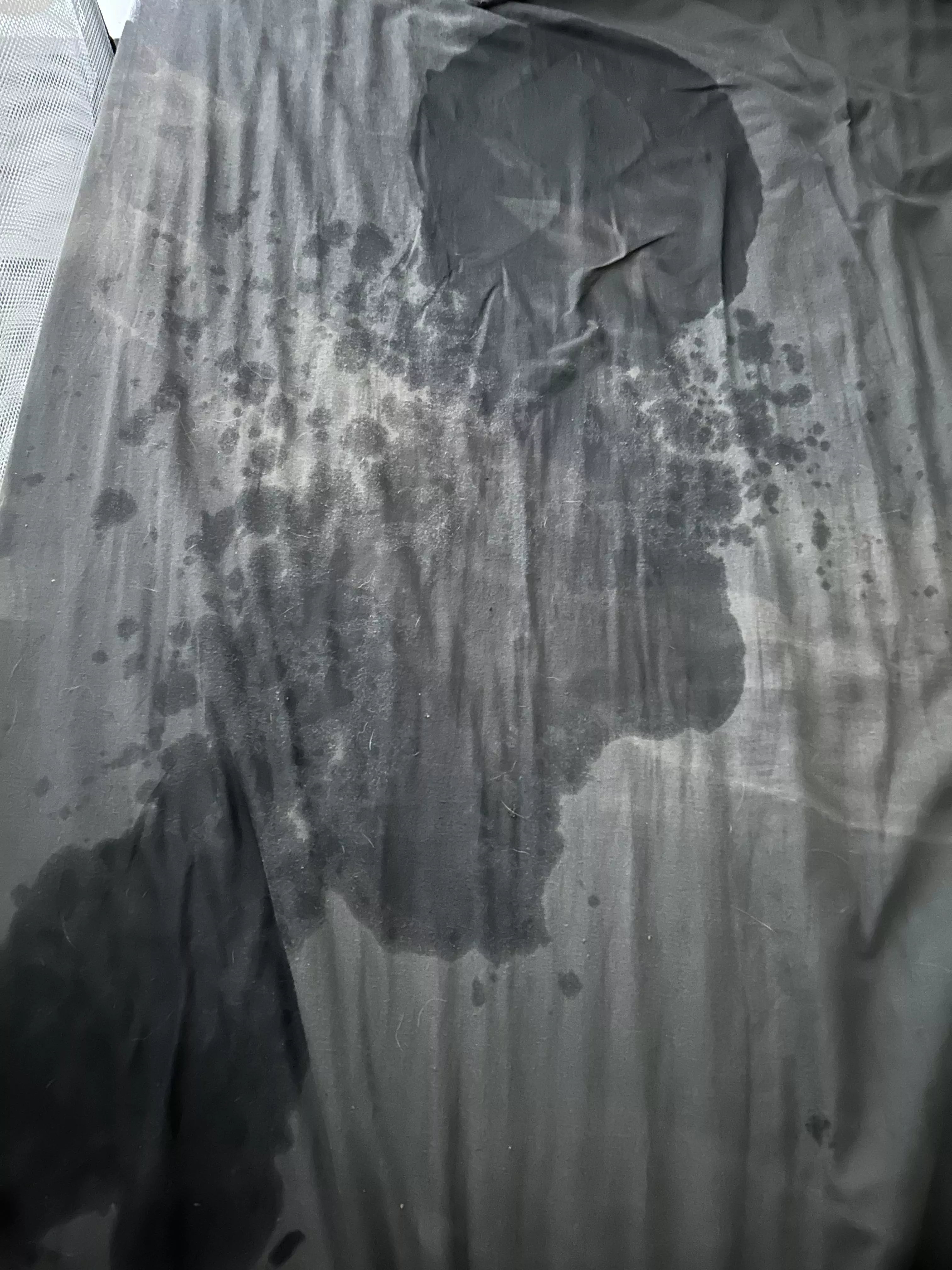 A little bit of a wet spot from squirting for the first time 🥺 posted by PeachyDreams23