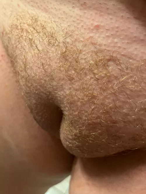 Anyone like redheads by Exact-Let3689