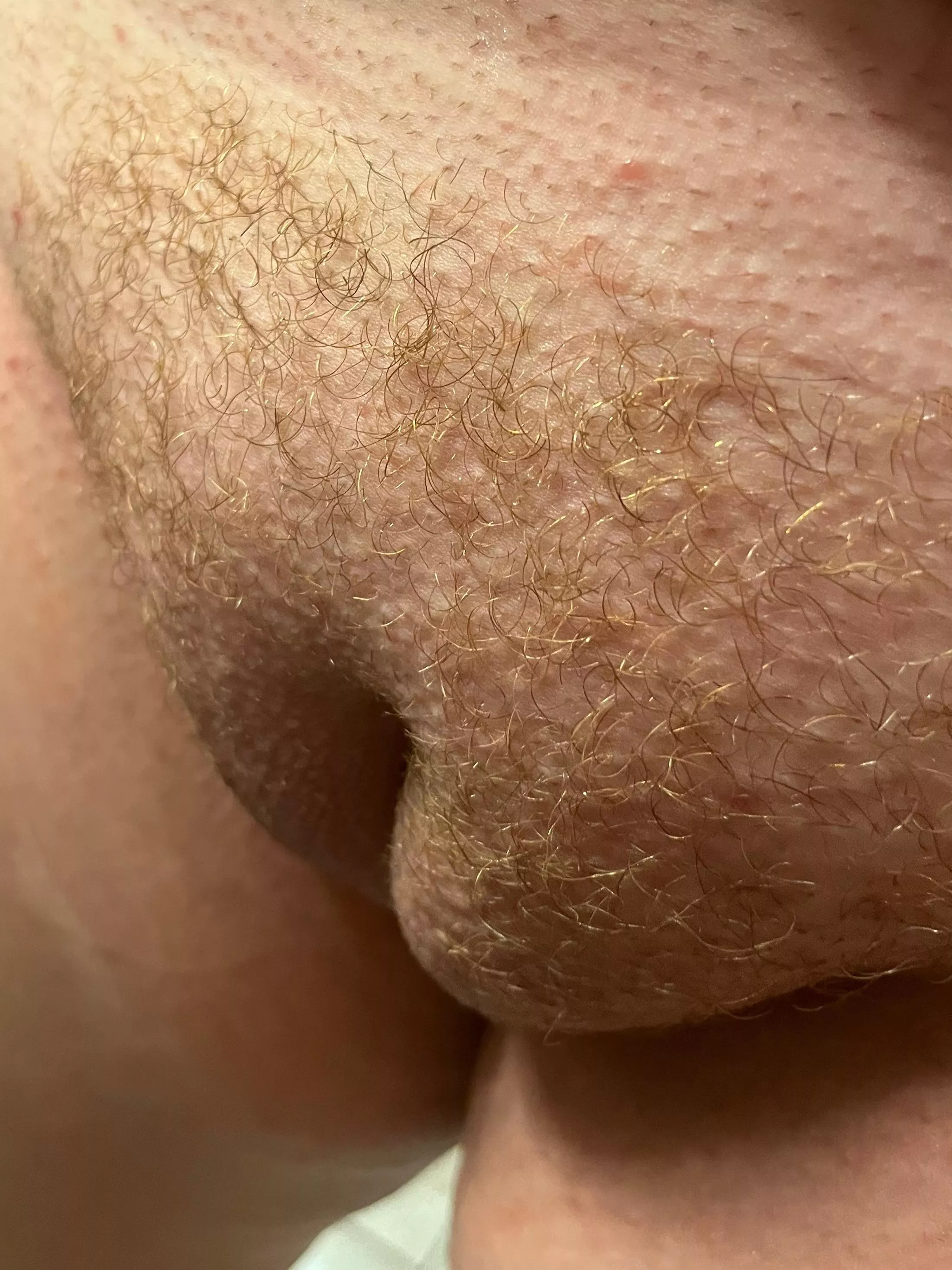 Anyone like redheads posted by Exact-Let3689