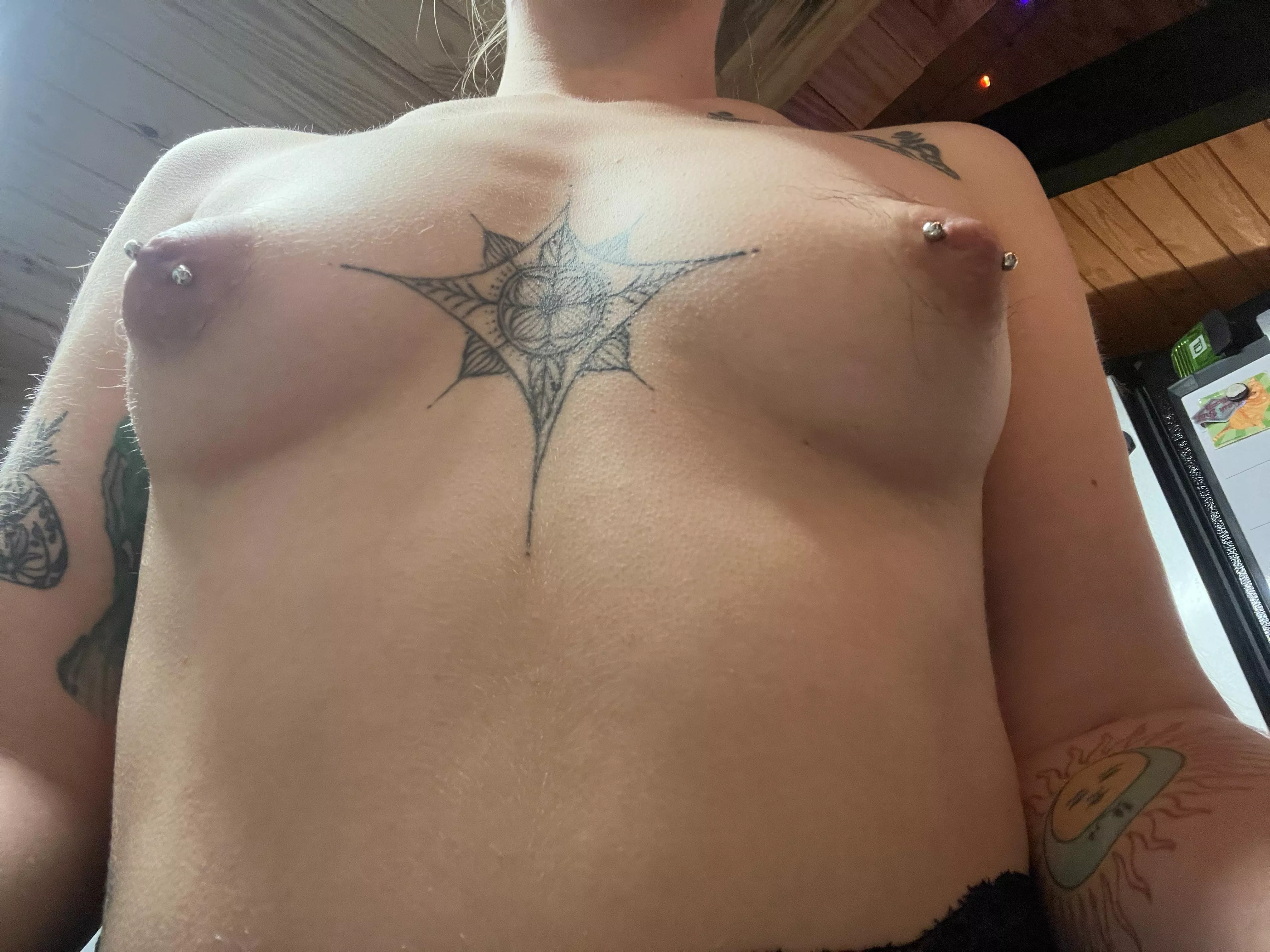 are they puffy enough for you to lick? posted by morticia-arquette