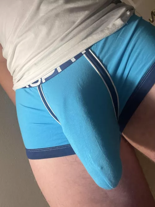 Comment yes if you think my bulge is one of the best on Reddit by HCM2323