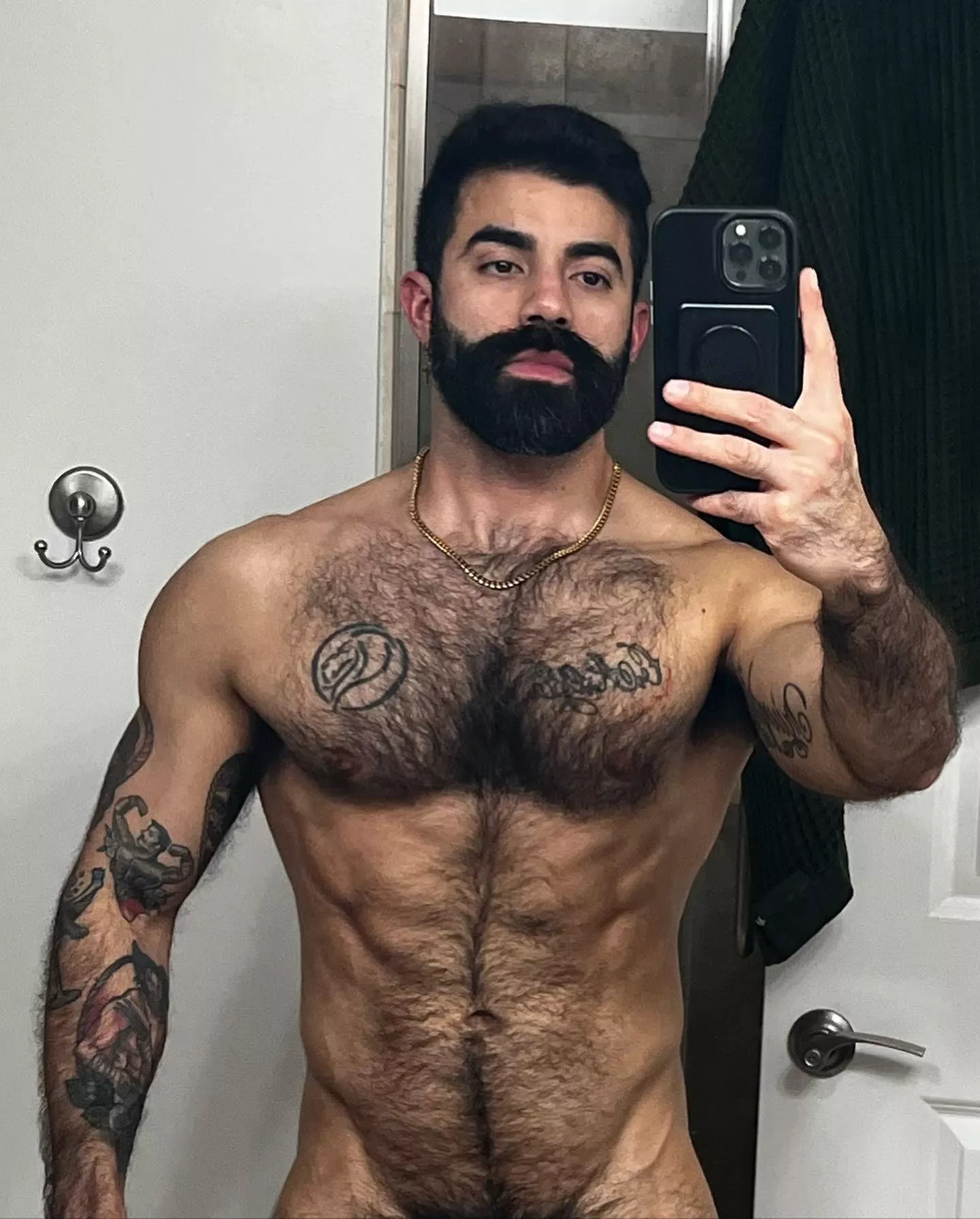My hairy chest posted by MooseDaddy999