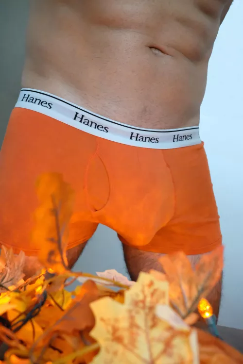 Feeling Festive by halfrailway