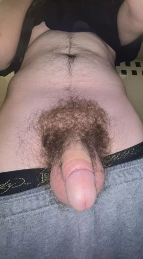 like a softie? by Zealousideal_Yam1504