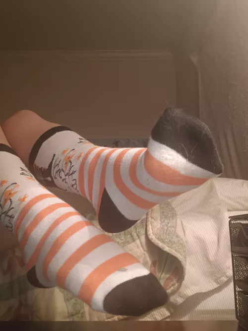 Love these socks! by MissyLinSolePleasure
