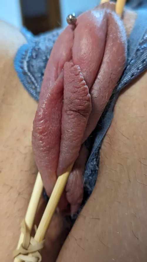 Pumped, clamped with the chopsticks, edged, and kept like this until I decide to use her cunt by BloodAlarmed6893