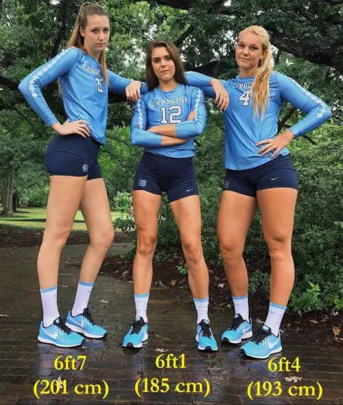 Tall girls rise up by Internal_Ad2033