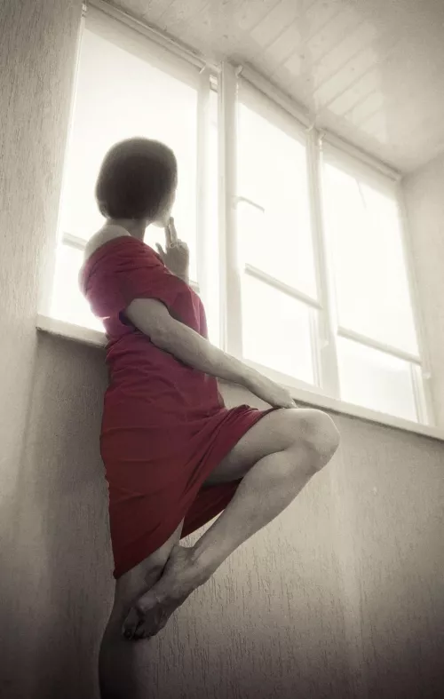 Twilight saga by Nerdbird_OF