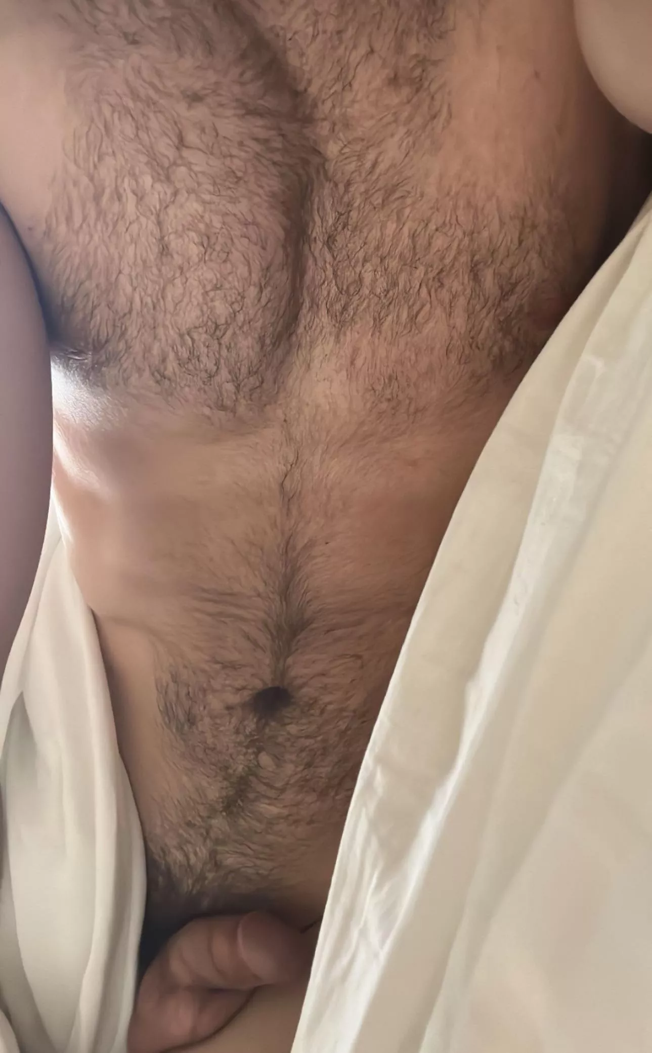 Who wants to jump into my bed this morning posted by Fun-brothers