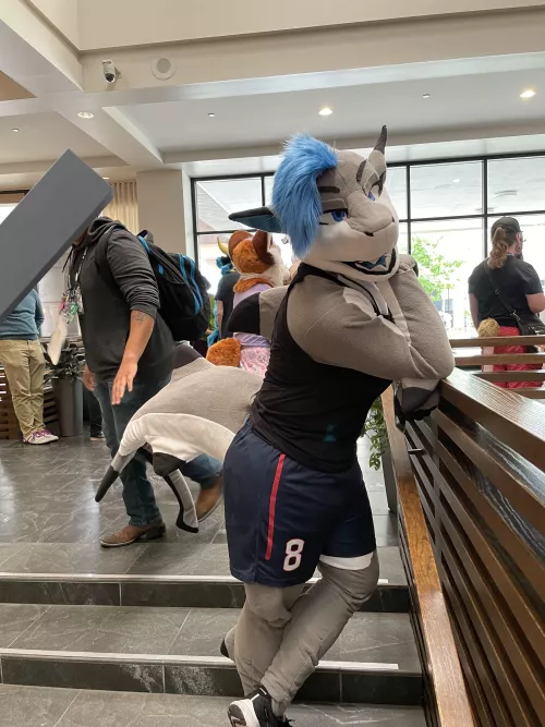 You've got the shark's attention by Bzx34