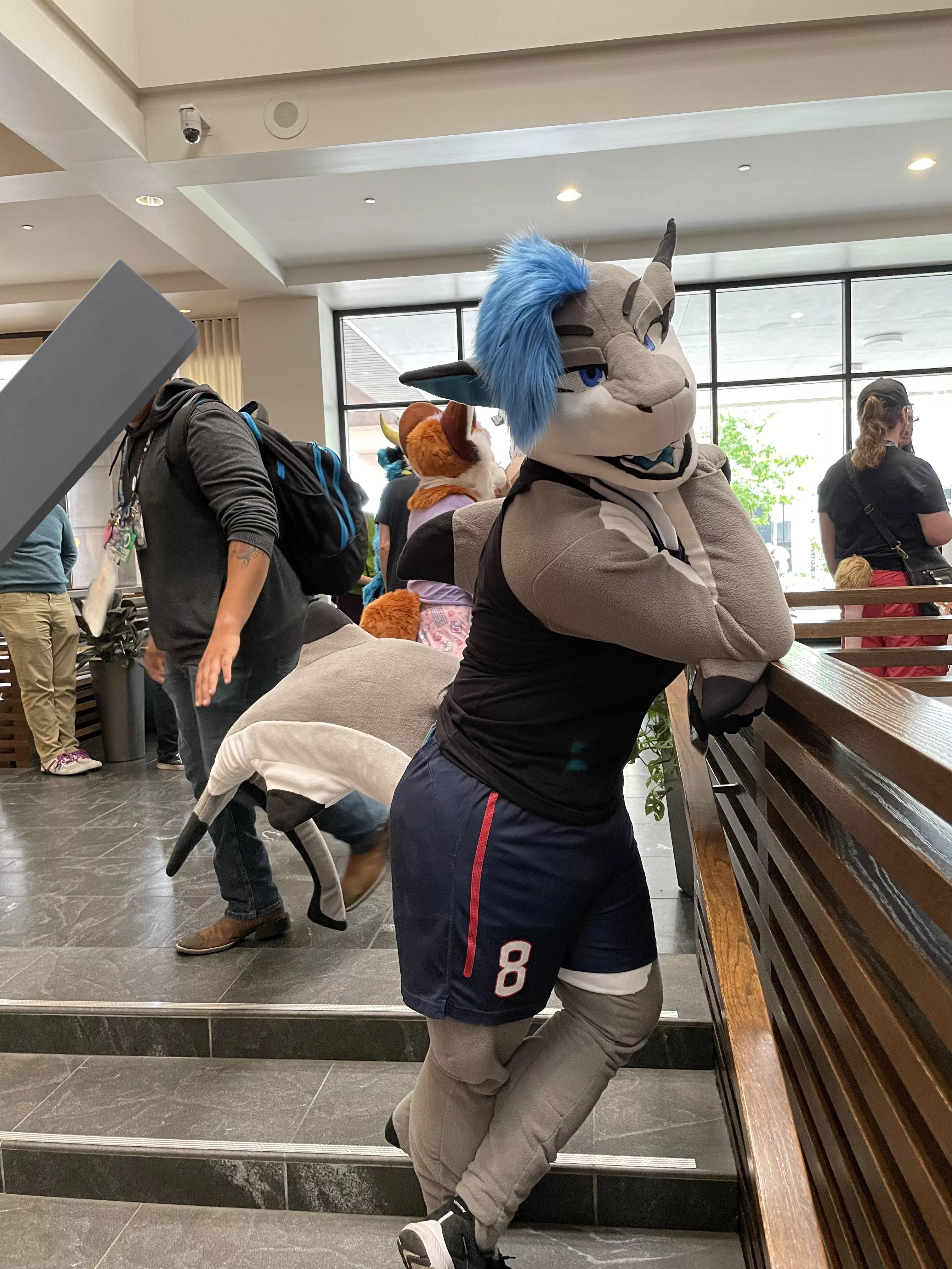 You've got the shark's attention posted by Bzx34