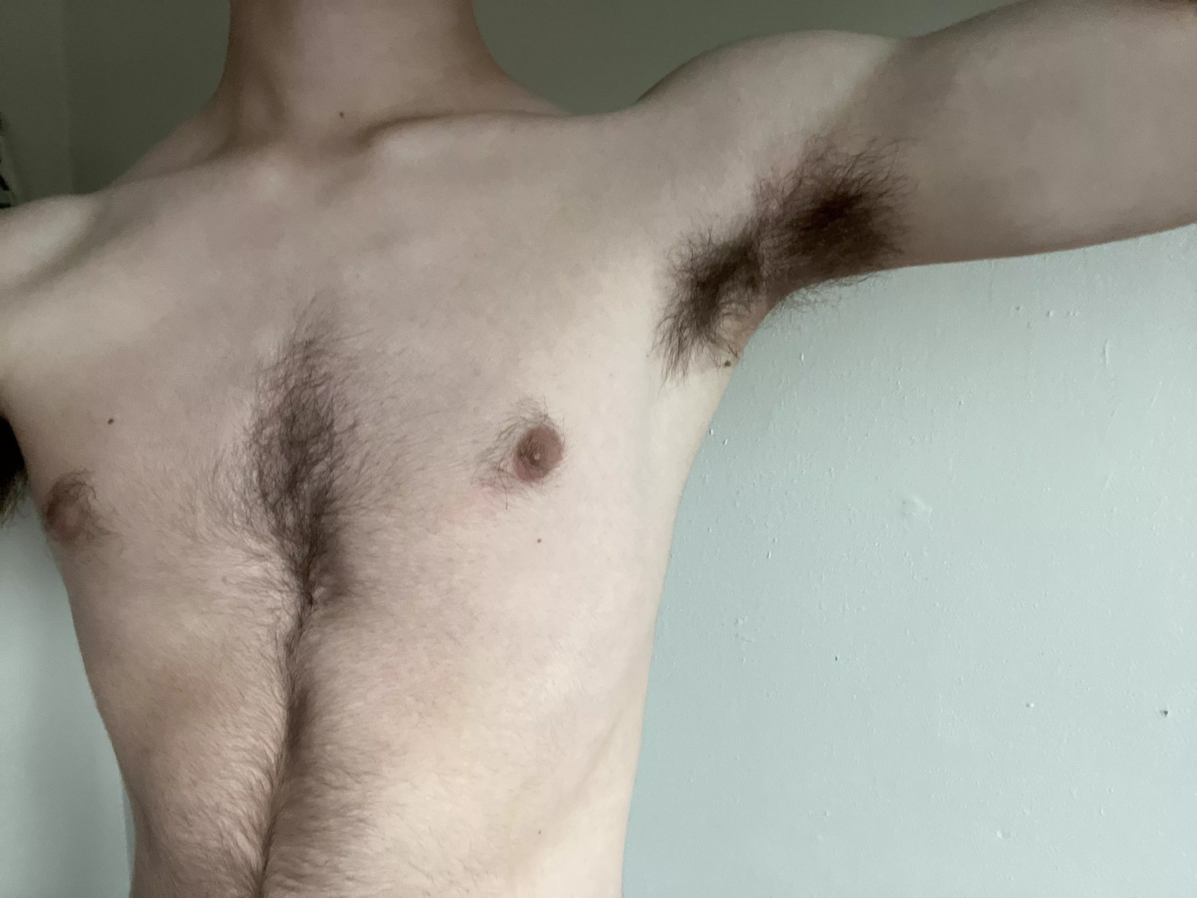 Hairy hs senior posted by Horny_fly